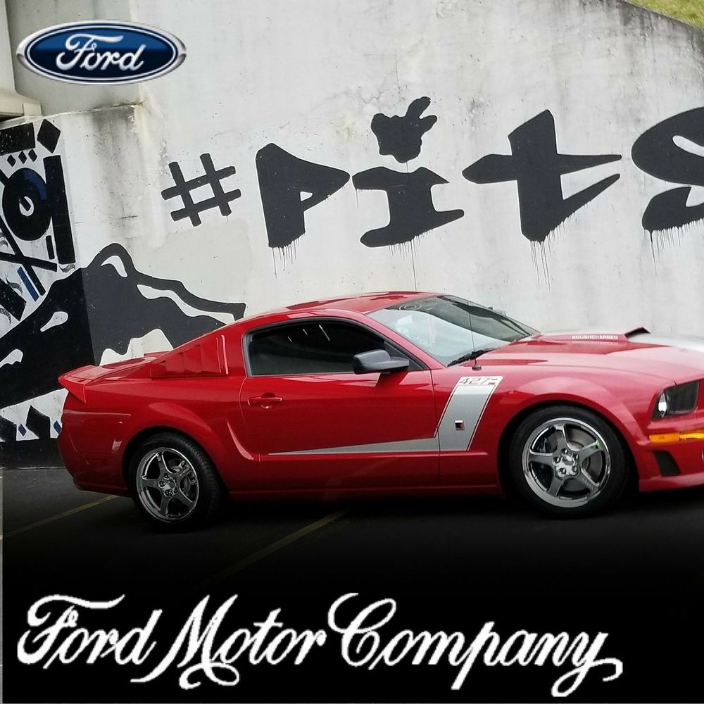 Meet your Posher, Donna